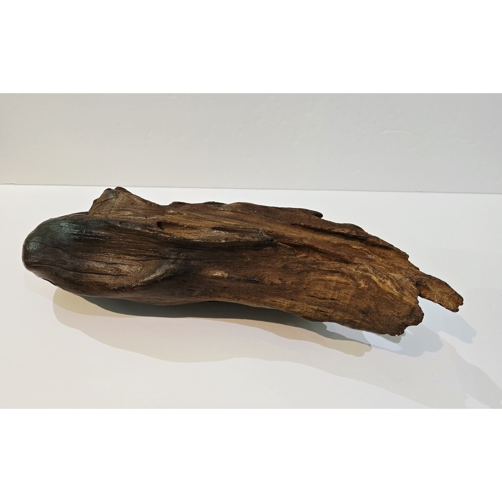 Driftwood Wood Taxidermy Terrarium Beach House Decor Centerpiece 13" Long
